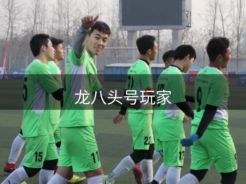 网站介绍